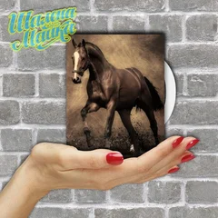 лошадь, конь, horse